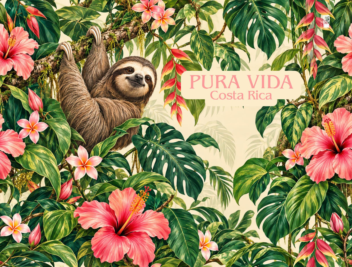 A sloth hangs from a tree branch amidst a lush, tropical backdrop of pink hibiscus flowers and green leaves.