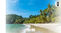 A tropical beach with palm trees, a clear blue sky, and a turquoise ocean.