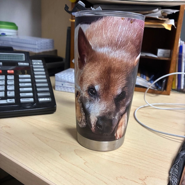 DIY Pet Photo Tumbler